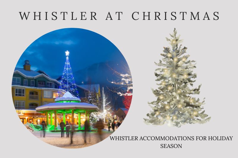 Whistler At Christmas